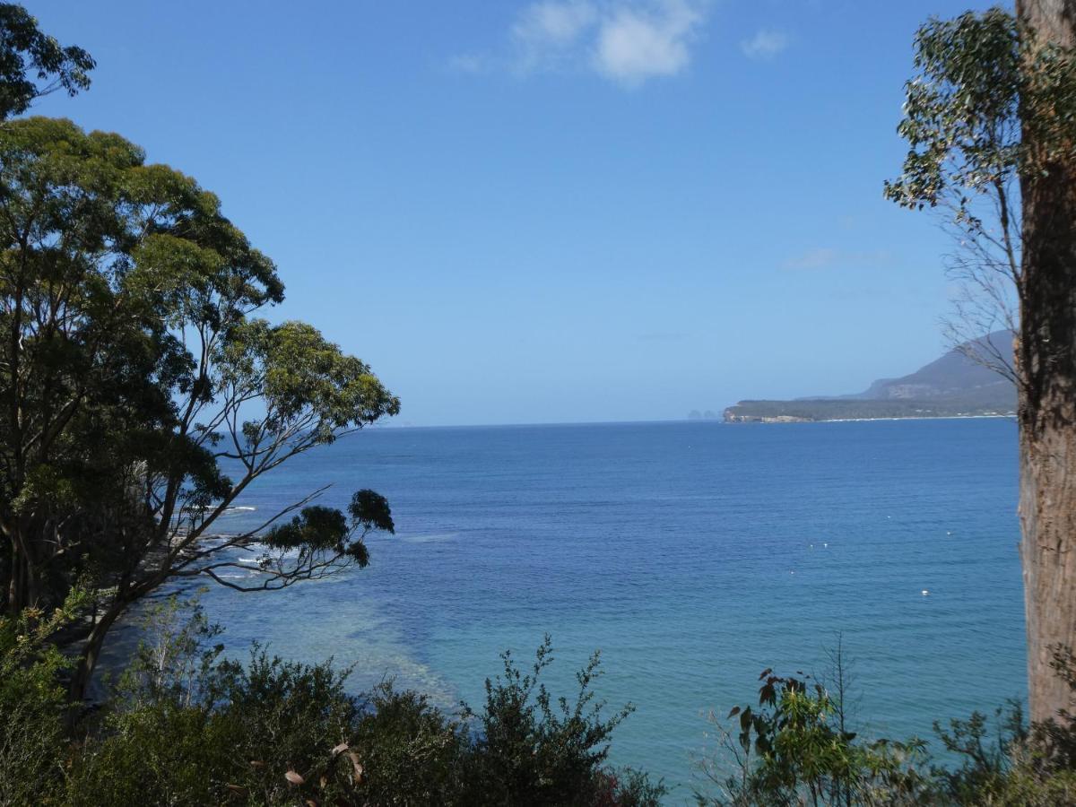 Osprey Lodge & Bungalow Eaglehawk Neck Bagian luar foto