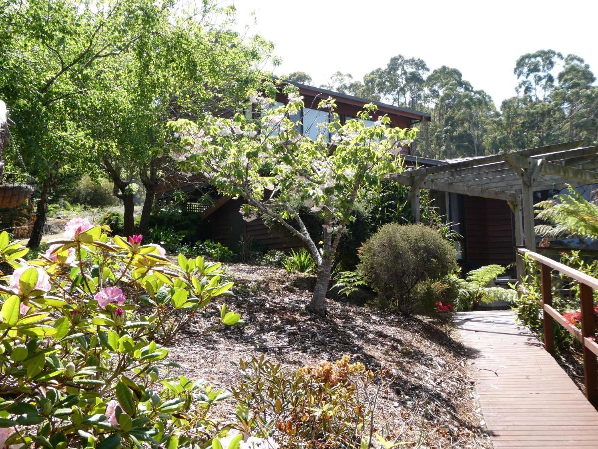 Osprey Lodge & Bungalow Eaglehawk Neck Bagian luar foto